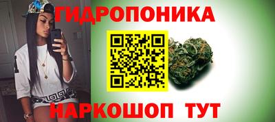 гашик Ефремов