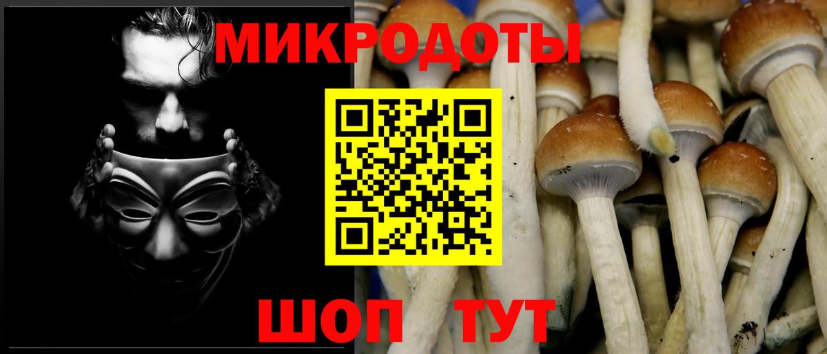 Псилоцибиновые грибы ЛСД Муром